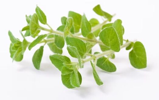 rand Brand Fungent rand conține ulei de oregano
